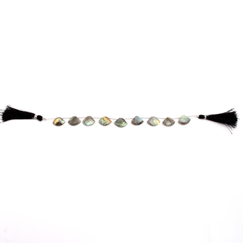 Labradorite Curved Triangle Faceted Natural Beads 8 Inches Strands