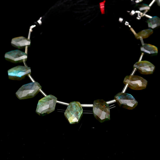 Labradorite Smooth Coffin Faceted Natural Beads 8 Inches Strands
