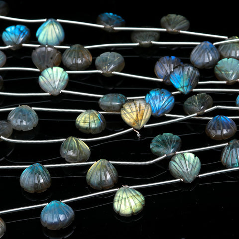 Labradorite Grey Shell Carving Natural Beads 8 Inches Strands