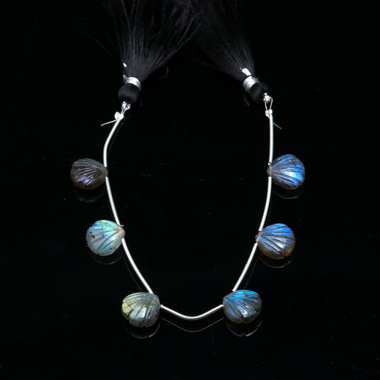 Labradorite Grey Shell Carving Natural Beads 8 Inches Strands