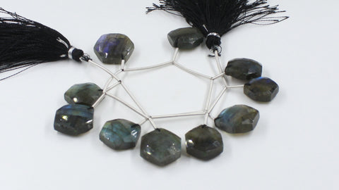 Labradorite Grey Hexagon Faceted Natural Beads 8 Inches Strands