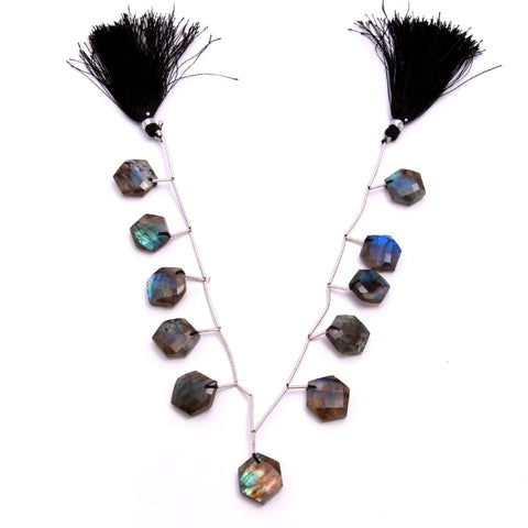 Labradorite Grey Hexagon Faceted Natural Beads