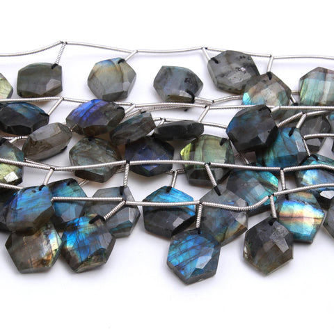 Labradorite Grey Hexagon Faceted Natural Beads 8 Inches Strands