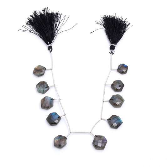 Labradorite Grey Hexagon Faceted Natural Beads 8 Inches Strands