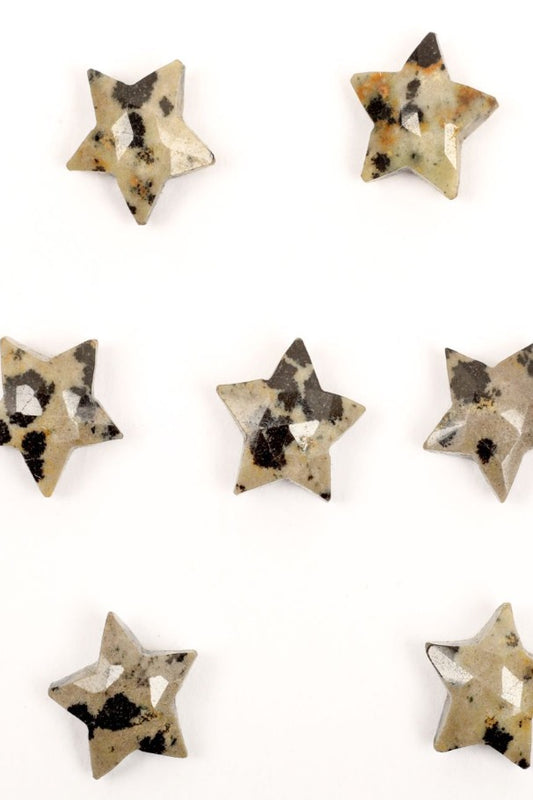 Dalmation Jasper Star Faceted Natural Beads