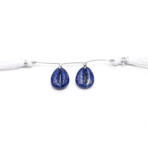 Lapis Lazuli Blue Cowrie Shell Carving Natural Pair Beads