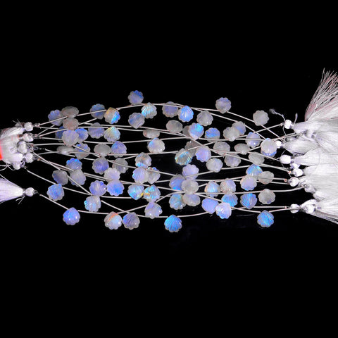 Rainbow Moonstone White Shell Carving Natural Beads 8 Inches Strands