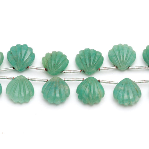 Amazonite Green Shell Smooth Natural Beads 8 inches Strands