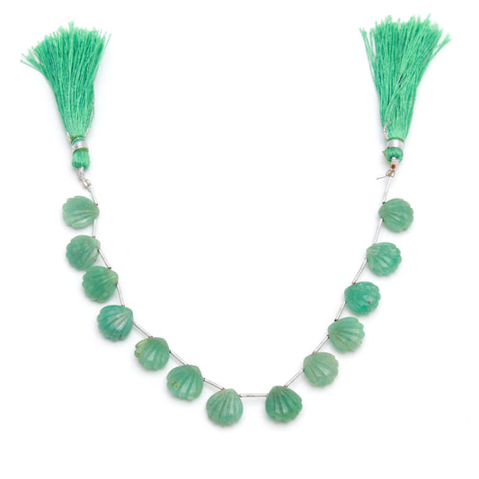 Amazonite Green Shell Smooth Natural Beads 8 inches Strands