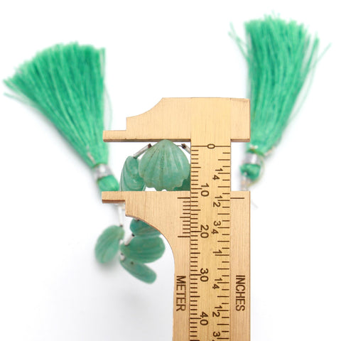 Amazonite Green Shell Smooth Natural Beads 8 inches Strands