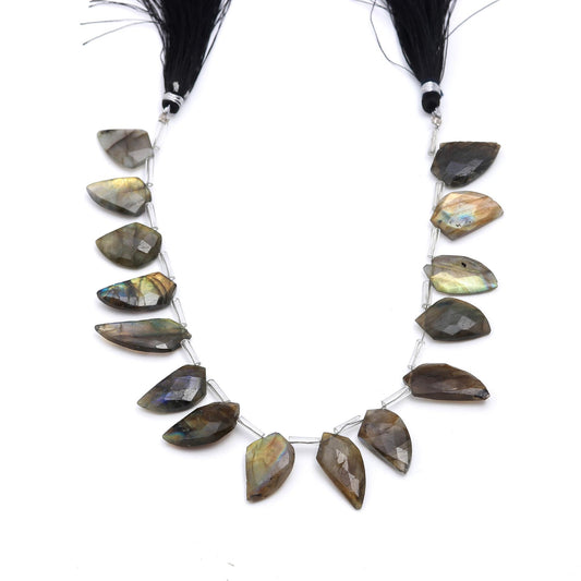 Labradorite Grey Claw Faceted Natural Beads 8 Inches Strands