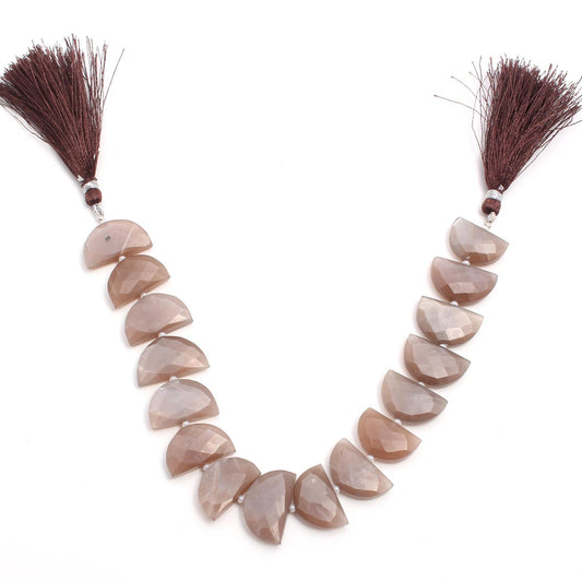 Chocolate Moonstone Brown D Shape Faceted Natural Beads