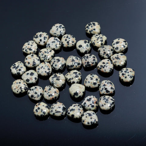 Dalmation Jasper Shell Carving Natural 11 MM Stone