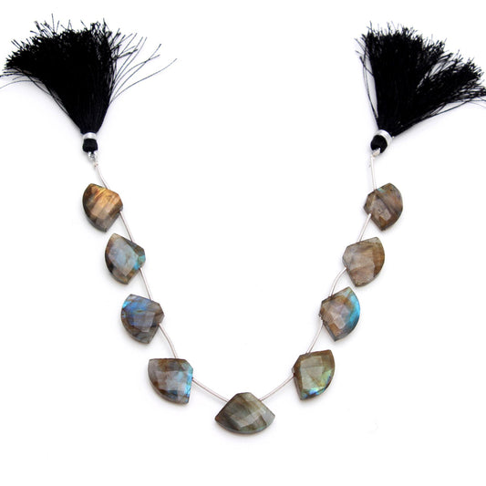 Labradorite Grey Shell Faceted Natural Beads 8 inches Strands