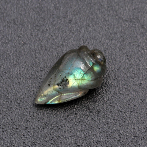 Labradorite Grey Conch Shell Carving Natural 17 MM Stone