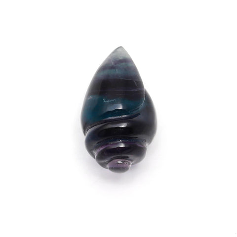 Fluorite Multi Color Conch Shell Carving Natural 17 MM Stone