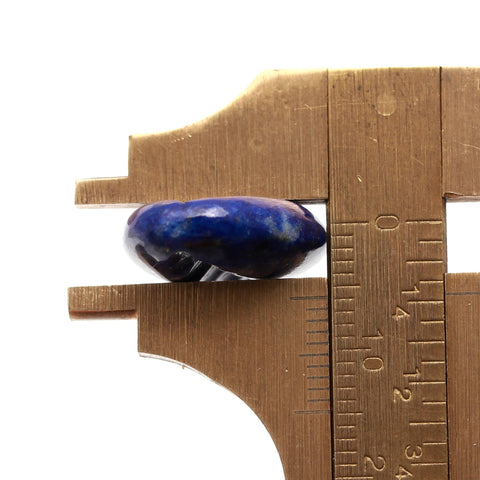 Lapis Lazuli Blue Cowrie Shell Carving Natural 19 MM Stone