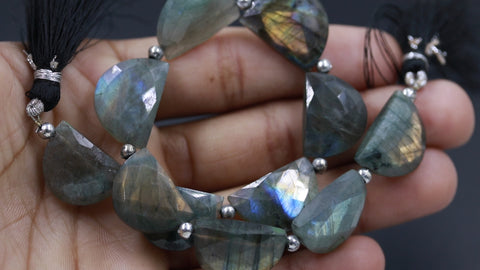 Labradorite Grey D Shape Faceted Natural Beads 8 Inches Strands